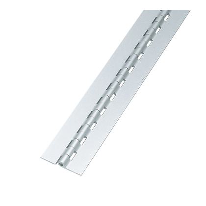 EXTRUDED CONTINUOUS HINGES